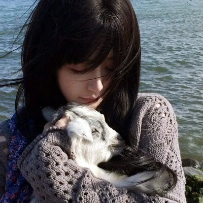 2026热映片单第033期